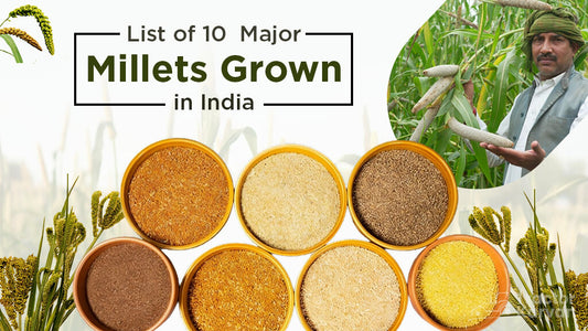 Introduction To Millets: A Comprehensive Guide